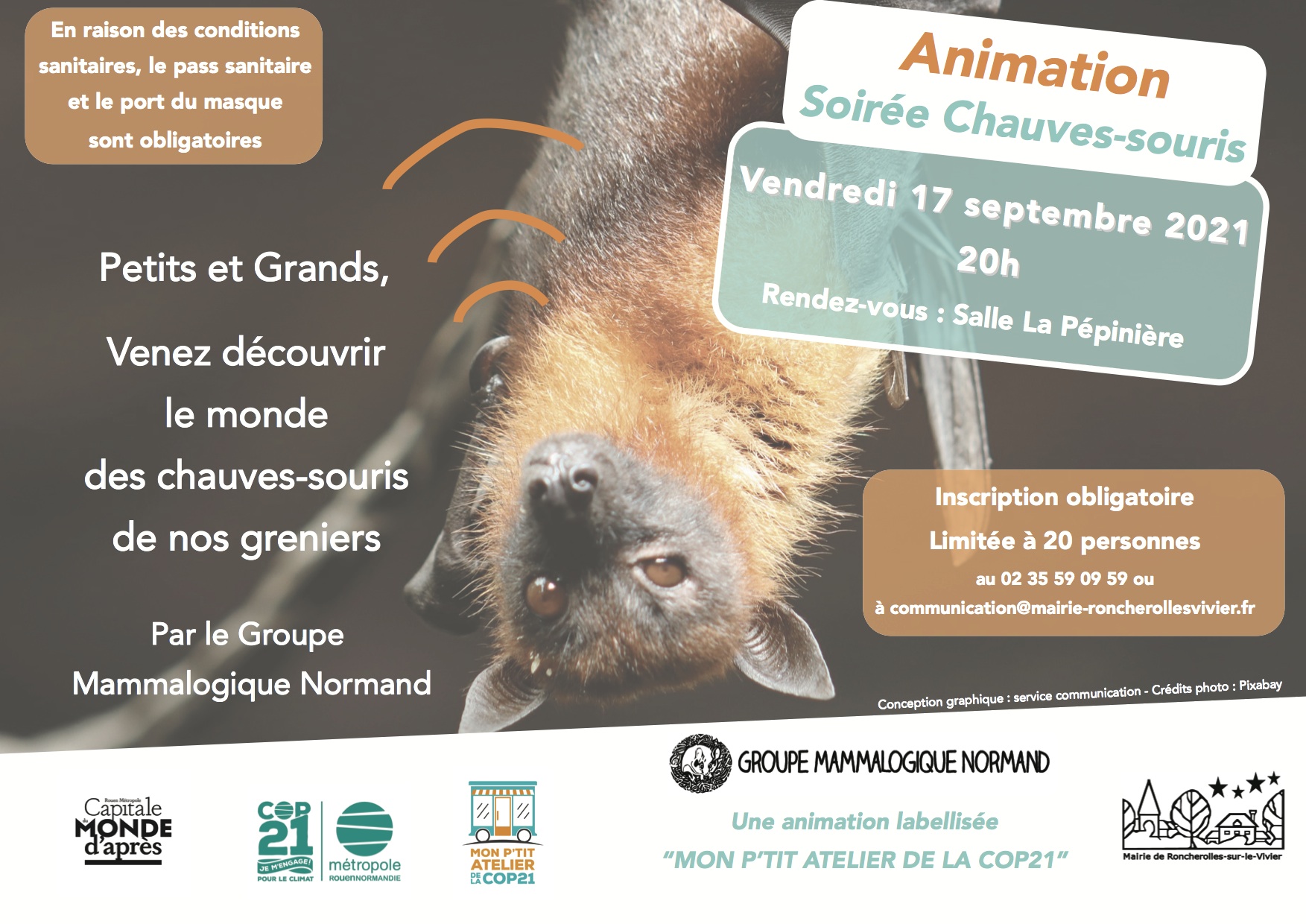 Affiche Animation Chauves Souris 17 sept